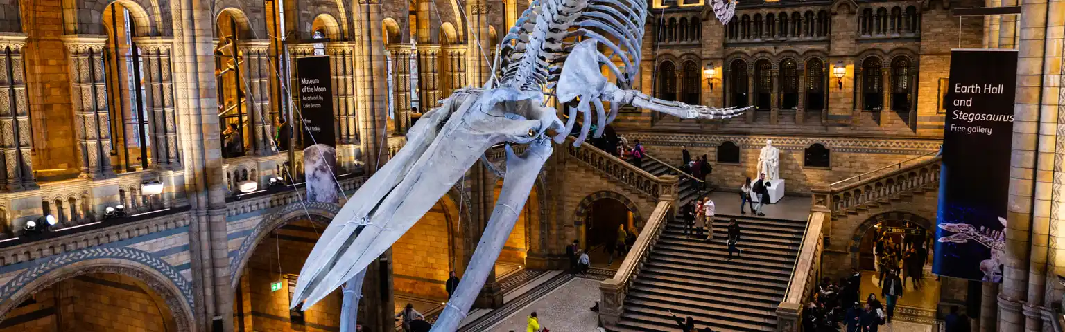 Panduan Lengkap Mengunjungi Natural History Museum London: Tips, Atraksi & Fakta Menarik Panduan Lengkap Mengunjungi Natural History Museum London: Tips, Atraksi & Fakta Menarik