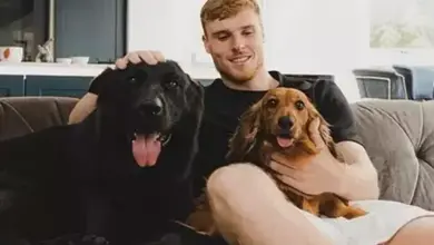 Pencurian di Rumah Bintang Liga Inggris Meningkat, Bek Everton Justru Beli Anjing Baru