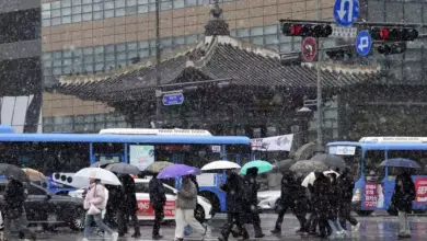 Penduduk Asing di Korsel Capai 2,5 Juta, 5% dari Total Populasi