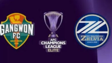 Prediksi Pertandingan Gangwon FC vs Machida Zelvia LCA Liga Champions Asia Elite Selasa Jam 17.00 WIB