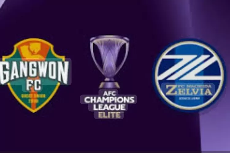 Prediksi Pertandingan Gangwon FC vs Machida Zelvia LCA Liga Champions Asia Elite Selasa Jam 17.00 WIB