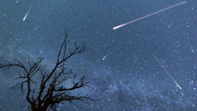 Puncak Hujan Meteor Orionid 28 November: Waktu Terbaik dan Cara Menyaksikan dengan Jelas