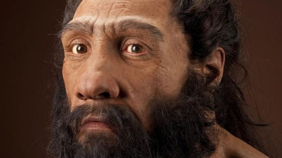 Rahasia Perbedaan Wajah Neanderthal dan Manusia Modern Akhirnya Terungkap Secara Ilmiah