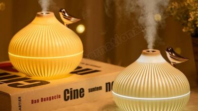 Rahasia Udara Segar dan Kulit Lembap di Dalam Kamar? Banyak yang Tak Menyangka Ini Jawabannya!