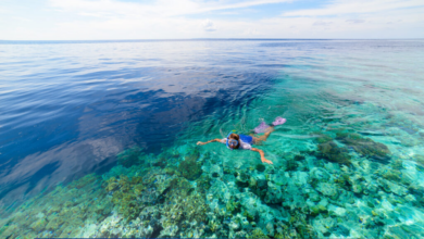 Spot Diving Terbaik di Indonesia: Rekomendasi Destinasi Favorit Para Penyelam