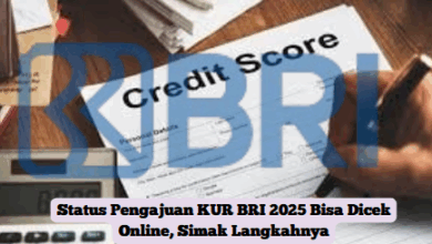 Status Pengajuan KUR BRI 2025 Bisa Dicek Online, Begini Cara Mudah dan Cepat!