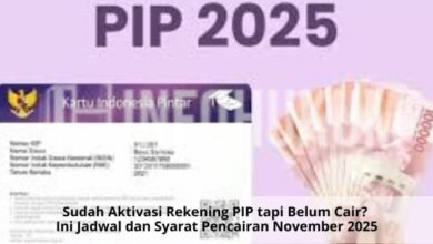 Sudah Aktivasi Rekening PIP tapi Dana Belum Cair? Ini Jadwal & Syarat Pencairan November 2025