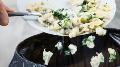 Swedia Terapkan Pajak Makanan Tak Ramah Lingkungan, Bisakah Cara Ini Ditiru Negara Lain?