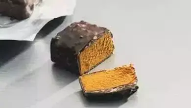 Terobosan Eropa: Ciptakan Makanan dari Udara dan Urine Astronot, Fakta dan Prosesnya