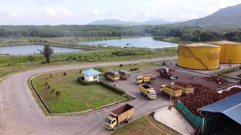 Tingkatkan Efisiensi dan Profitabilitas Drastis Melalui Solusi GROW with SAP yang Terintegrasi