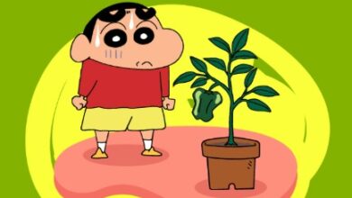 Tiongkok Tunda Tayang Dua Film Jepang, Hubungan Kedua Negara Makin Memanas?