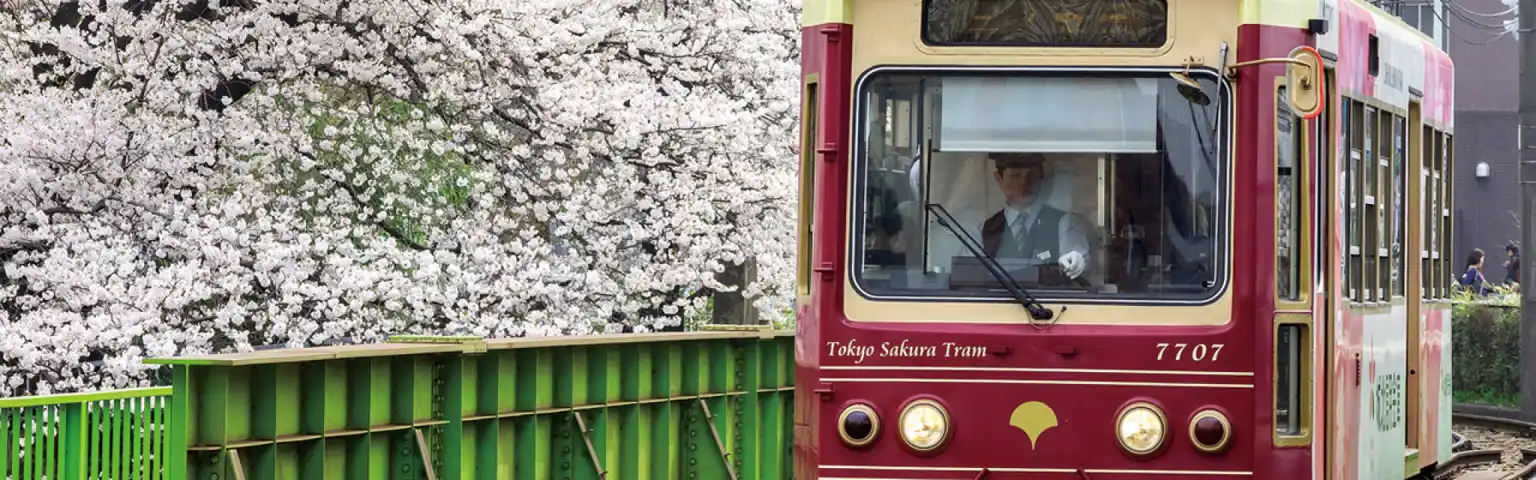 Tokyo Sakura Tram Jepang: Panduan Lengkap Rute dan Harga Tiket Terbaru 2025