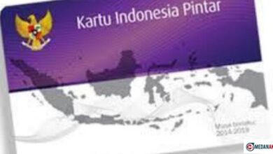 Update PIP November 2025: Perkiraan Waktu Pencairan Setelah Aktivasi Rekening Selesai