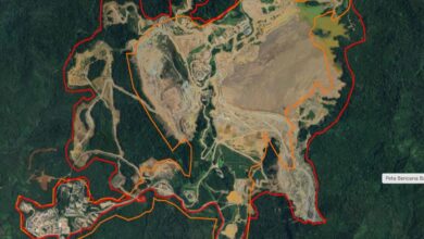 Walhi Sumut Sebut 7 Perusahaan Penyebab Utama Banjir Besar di Tapanuli