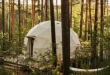 10 Destinasi Glamping Populer di Banyuwangi untuk Liburan Seru dan Nyaman