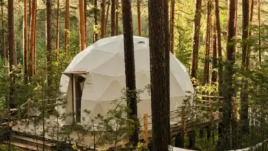 10 Destinasi Glamping Populer di Banyuwangi untuk Liburan Seru dan Nyaman