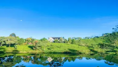 10 Penginapan Terbaik di Pangalengan yang Menawarkan Pengalaman Menginap Dekat Alam