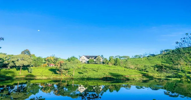 10 Penginapan Terbaik di Pangalengan yang Menawarkan Pengalaman Menginap Dekat Alam