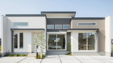 12 Ide Desain dan Tata Letak Rumah Kontrakan Ukuran 3x6 yang Praktis dan Menarik