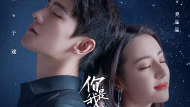 15 Drama Terbaik Dibintangi Dilraba Dilmurat, Aktris Tercantik Asia dengan Rating Tinggi