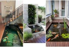 20 Desain Kolam Ikan Minimalis yang Mempercantik dan Menyegarkan Suasana Rumah Anda