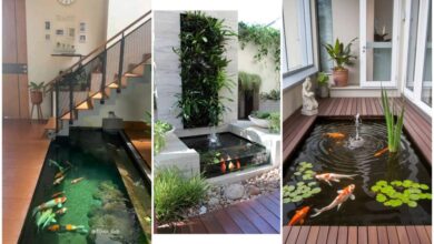 20 Desain Kolam Ikan Minimalis yang Mempercantik dan Menyegarkan Suasana Rumah Anda