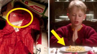 33 Fakta Tersembunyi dalam Film "Home Alone" yang Pasti Belum Kamu Sadari