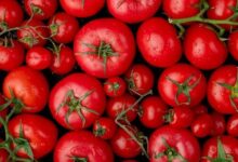 5 Buah Merah Terbaik untuk Kesehatan Jantung: Rekomendasi Nutrisi Alami Teruji