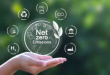 5 Cara Sederhana Kurangi Emisi Karbon: Langkah Kecil dengan Dampak Besar bagi Lingkungan