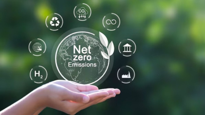 5 Cara Sederhana Kurangi Emisi Karbon: Langkah Kecil dengan Dampak Besar bagi Lingkungan