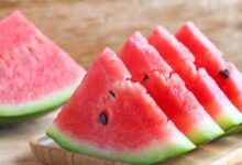 5 Jenis Makanan Alami yang Efektif Membersihkan dan Menyehatkan Ginjal Setiap Hari