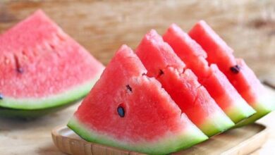 5 Jenis Makanan Alami yang Efektif Membersihkan dan Menyehatkan Ginjal Setiap Hari