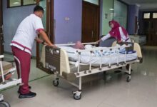 5 Petani Serang Tersambar Petir Selamat dan Dapat Perawatan Gratis, Ini Faktanya