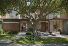 5 Pilihan Pohon Raksasa yang Bikin Taman Anda Sejuk dan Asri dengan Cepat