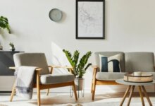 5 Tanaman Hias Tahan Panas Matahari Seharian, Buat Ruangan Tetap Adem dan Segar