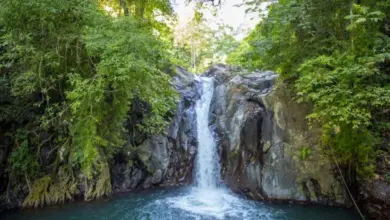 6 Air Terjun di Pasuruan yang Eksotis, Destinasi Alam Tersembunyi Wajib Dikunjungi