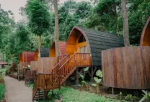 6 Lokasi Glamping Paling Instagramable di Area Trawas Mojokerto untuk Liburan Seru