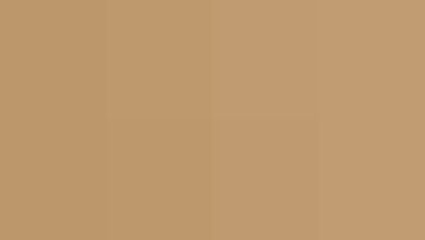 6 Shio Paling Hoki Sabtu 13 Desember 2025, Prediksi Cuan Melimpah Akhir Pekan