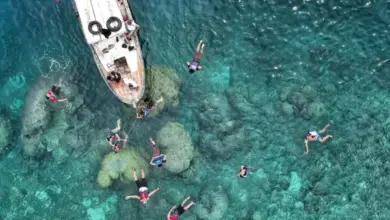 6 Spot Diving dan Snorkeling Terbaik di Pulau Ambon untuk Pengalaman Bawah Laut Tak Terlupakan