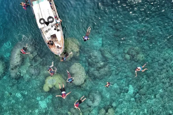 6 Spot Diving dan Snorkeling Terbaik di Pulau Ambon untuk Pengalaman Bawah Laut Tak Terlupakan