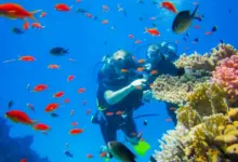 6 Spot Snorkeling dan Diving Terbaik di Belitung yang Wajib Dikunjungi Tahun Ini