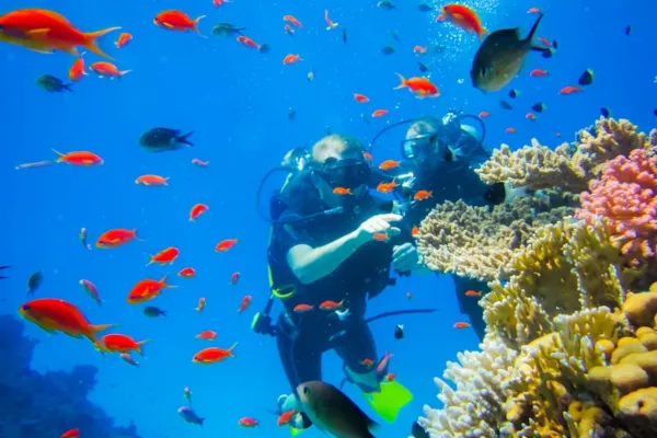 6 Spot Snorkeling dan Diving Terbaik di Belitung yang Wajib Dikunjungi Tahun Ini