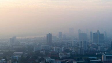 7 Aplikasi Cek Kualitas Udara Terbaik untuk Pantau Polusi Secara Praktis dan Akurat