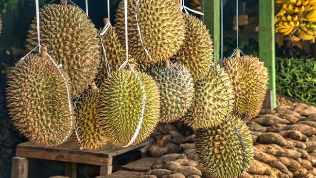 7 Efek Samping Setelah Makan Durian yang Perlu Anda Waspadai untuk Kesehatan