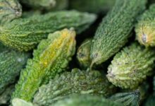 7 Khasiat Pare untuk Kesehatan yang Jarang Diketahui dan Terbukti Manfaatnya