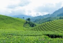 7 Tempat Wisata Alam Tersembunyi di Pulau Jawa yang Wajib Dikunjungi Tahun Ini