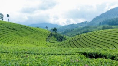 7 Tempat Wisata Alam Tersembunyi di Pulau Jawa yang Wajib Dikunjungi Tahun Ini