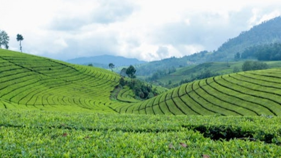 7 Tempat Wisata Alam Tersembunyi di Pulau Jawa yang Wajib Dikunjungi Tahun Ini