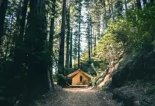 8 Tempat Glamping di Sukabumi dengan Pemandangan Menakjubkan dan Fasilitas Lengkap