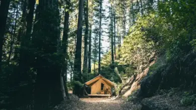 8 Tempat Glamping di Sukabumi dengan Pemandangan Menakjubkan dan Fasilitas Lengkap
